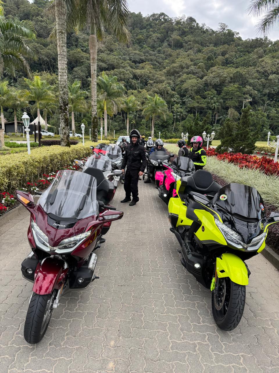 WhatsApp Image 2026-02-20 at 15.07.38.jpeg